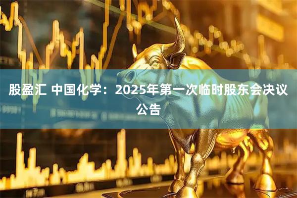 股盈汇 中国化学：2025年第一次临时股东会决议公告