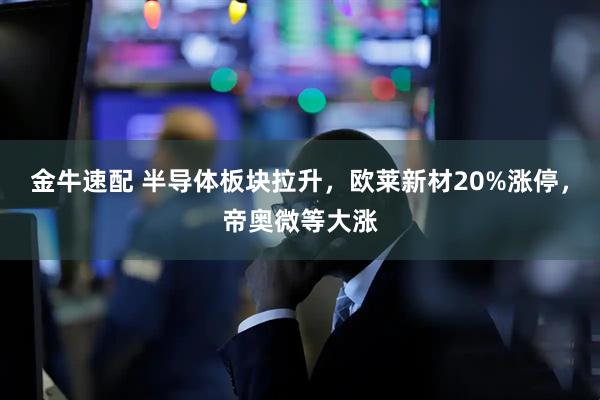 金牛速配 半导体板块拉升，欧莱新材20%涨停，帝奥微等大涨